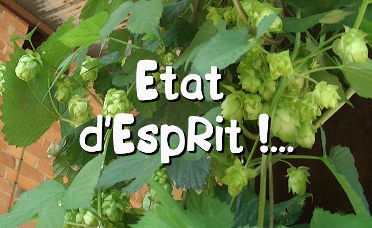 Découvrez notre état d'esprit